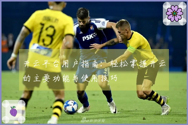 开云平台用户指南：轻松掌握开云的主要功能与使用技巧