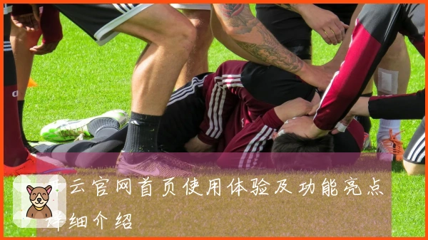 开云官网首页使用体验及功能亮点详细介绍