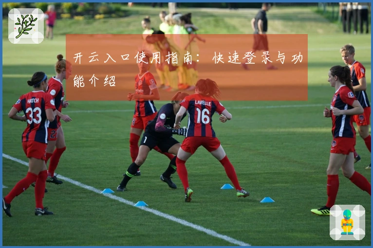 开云入口使用指南：快速登录与功能介绍