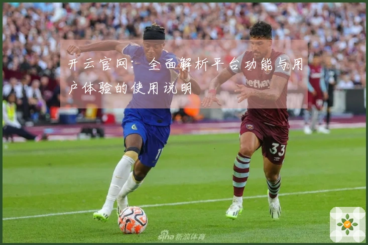 开云官网：全面解析平台功能与用户体验的使用说明