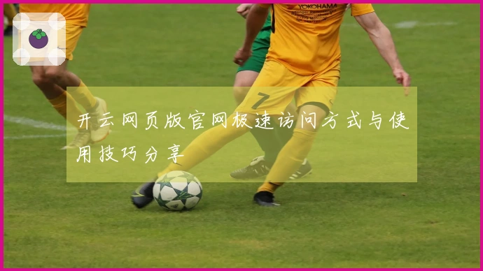 开云网页版官网极速访问方式与使用技巧分享