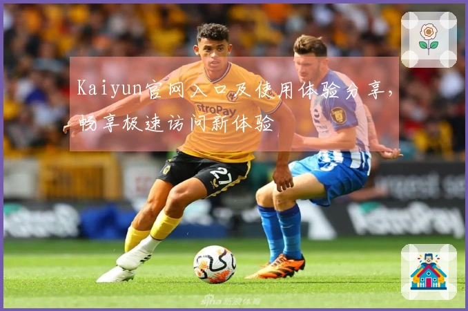 Kaiyun官网入口及使用体验分享,畅享极速访问新体验